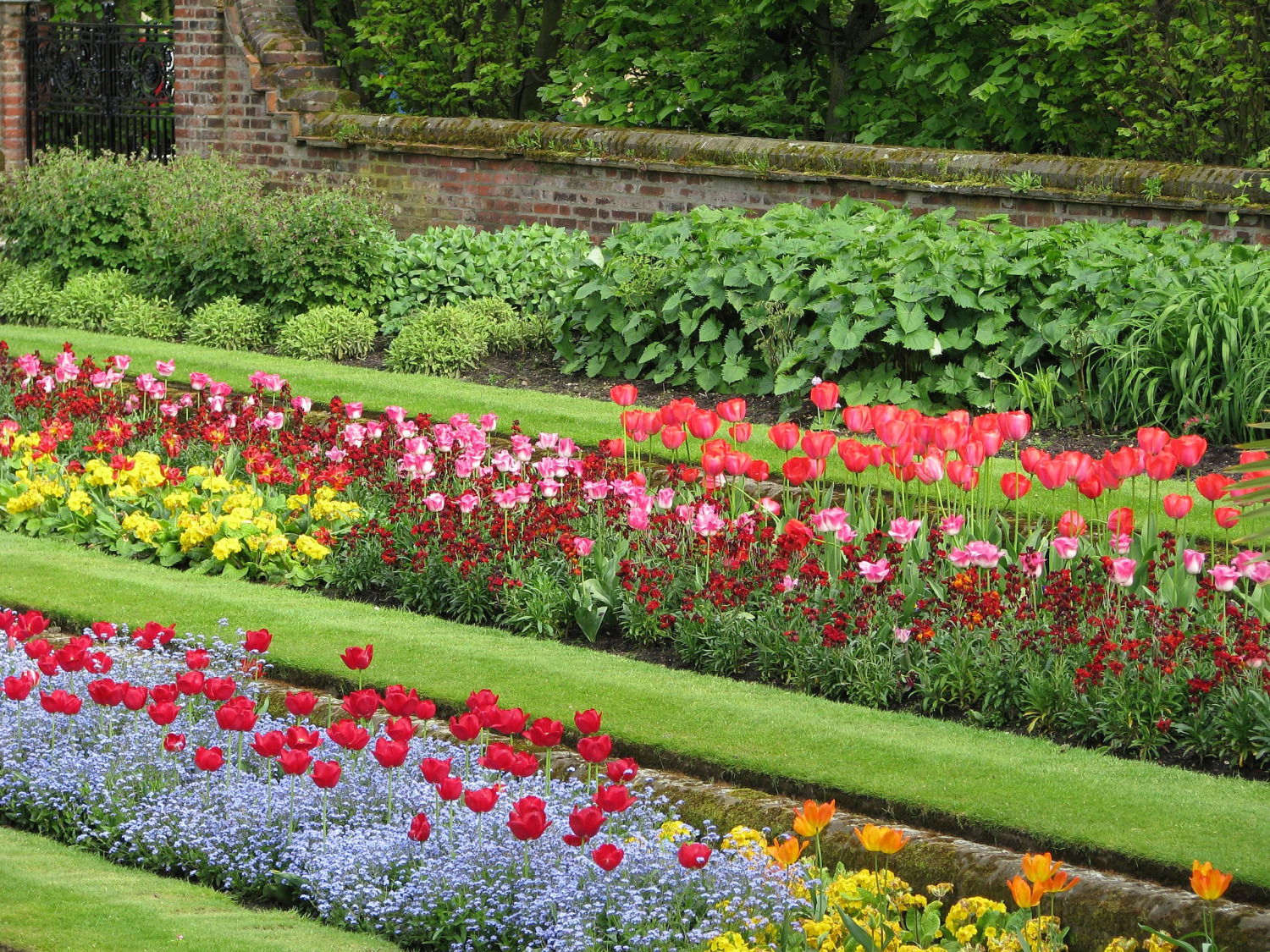 Jarní záhon s tulipány, petrklíči a pomněnkami