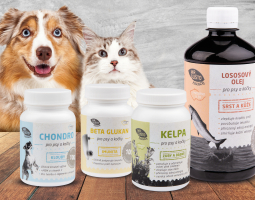 Vitaminy a výživové doplňky pro psy a kočky