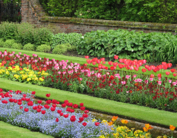 Jarní záhon s tulipány, petrklíči a pomněnkami